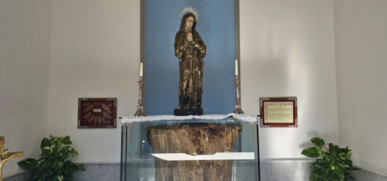 Castaño de las Apariciones - Santuario de Chandavila